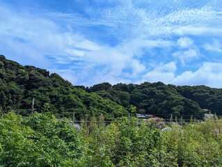 Obraz premium 晴れた日に鎌倉山を眺める