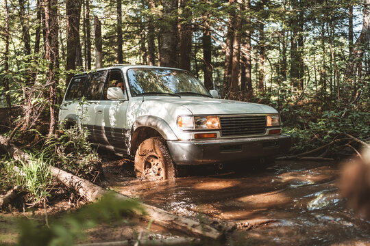 vehicle in mud