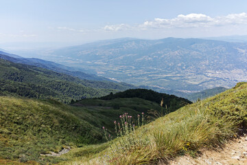 Fototapeta premium Summer landscape of Belasitsa Mountain, Bulgaria