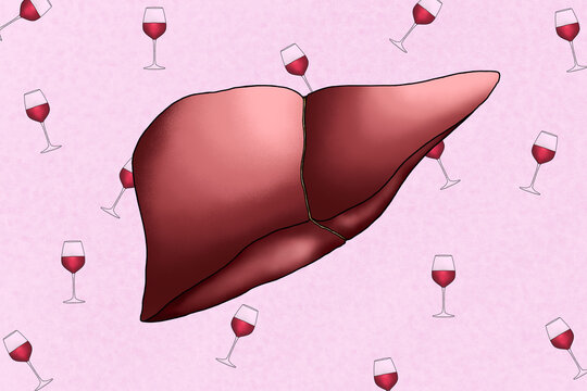 Human liver surrounded by wine glasses