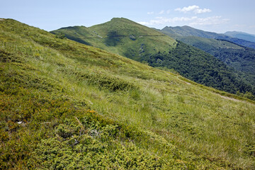 Summer landscape of Belasitsa Mountain, Bulgaria