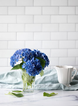 Pretty blue hydrangeas on counter