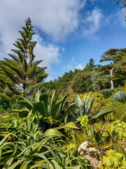 Nature and landscape of the Tresco island the second-biggest island of the Isles of Scilly in Cornwall, England