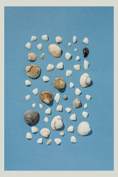 Sea shells