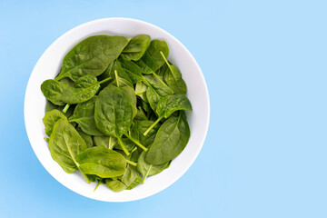 Spinach leaves on blue background.