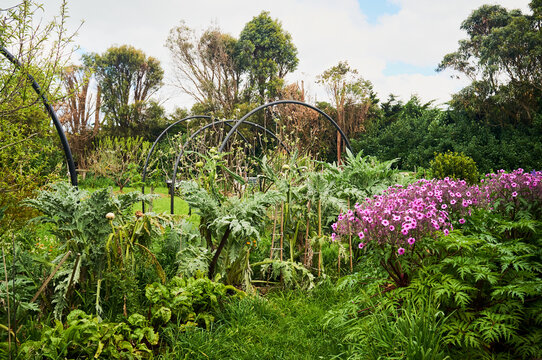 Natural Veggie Garden At Heritage Homestead