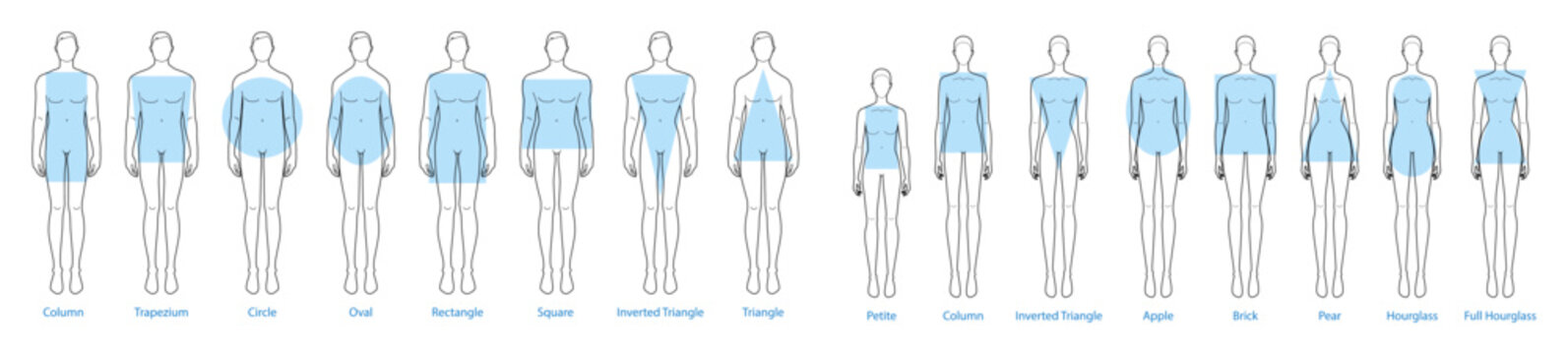 Set of Women Men body shapes types silhouettes: apple, pear, rectangle, column, trapezium, circle, oval, square, brick, hourglass, round, inverted triangle, petite. Male and Female Vector illustration