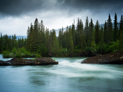 A river runs through the forrest.