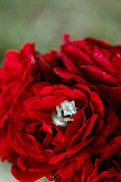 Large Diamond Wedding Ring in Red Rose