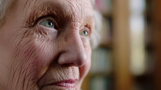 Knowledge, eyes and wrinkles of elderly woman face thinking of a memory or reminiscing of past in a library bokeh. Retirement senior woman looking out the window feeling content, calm and at peace