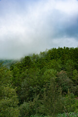 Las Animas town, located in the Oaxaca highlands, Mexico