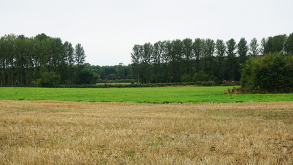 Cotswolds landscape