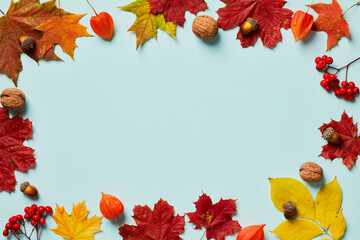 Naklejka na ściany i meble Autumn frame made of maple leaves, walnuts, acorns, physalis flowers on pastel blue background. Autumn fall concept. Thanksgiving Day banner design.