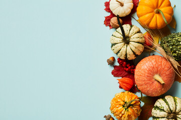 Autumn season background with pumpkins, maple leaves, walnuts, acorns on pastel blue table. Happy Thanksgiving day banner design.