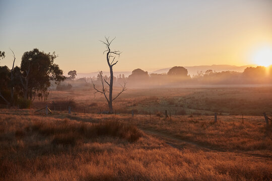Sunrise Australian Landscape 