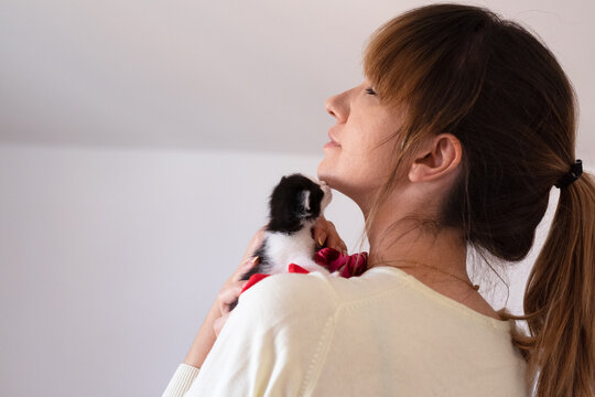 Female holding Newborn baby kittens adopted from the street