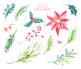 Watercolor set winter forest Christmas illustration. Woodland plants,poinsettia cone, fir, pine, holly berry, nursery decor for greeting card, poster, invitation,Merry Christmas,New Year, sticker	