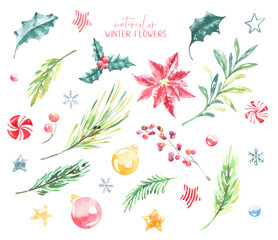 Watercolor set winter forest Christmas illustration. Woodland plants,poinsettia cone, fir, pine, holly berry, nursery decor for greeting card, poster, invitation,Merry Christmas,New Year, sticker	