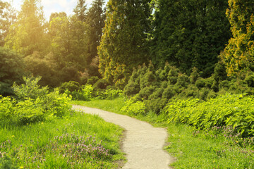 Beautiful view of park with trees and green grass
