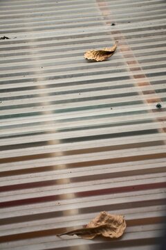 Roof of a colombian house