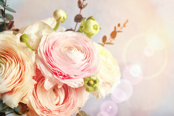 Beautiful spring ranunculus flowers on color background, closeup