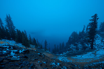 Gloomy weather scene near crater lake Oregon in winter filled with mist and melancholy fog as a...