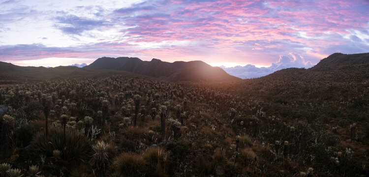 Panoramic view of a Colombian paramo