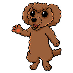 Cute toy poodle dog cartoon waving hand