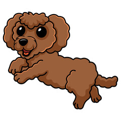 Cute toy poodle dog cartoon