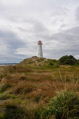 Fototapeta na wymiar Coast and field overlooking lighthouse