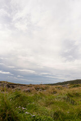 Coast and field overlooking lighthouse