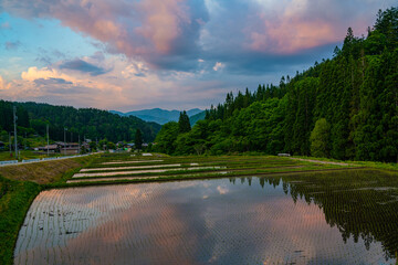 Colorful Rice Paddy Sunset In Hida Furukawa
