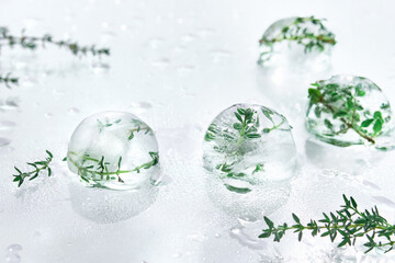 Wet off white water background with melting balls of ice with frozen herbs. Rosemary, oregano and...
