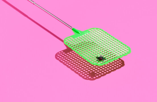 Fly Swatter with Fly on It 