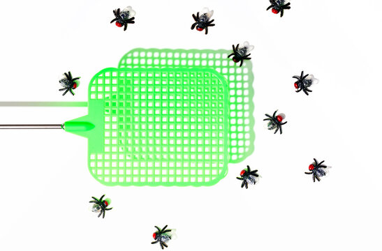Green Fly Swatter and Flies 