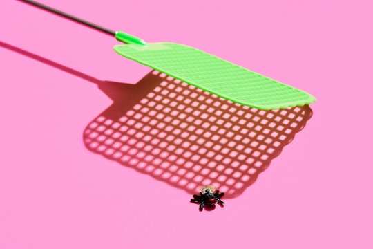 Fly Swatter and Fly om Pink Background 