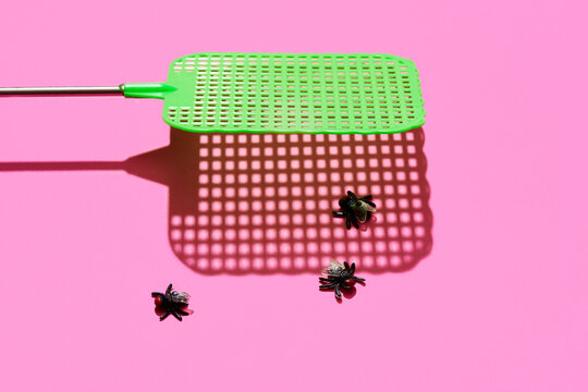 Fly Swatter and Flies on Pink Surface 