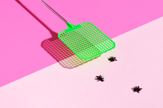 Green Fly Swatter and Three Flies on Pink 