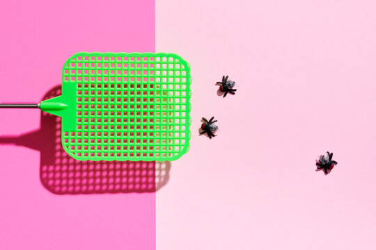 Green Fly Swatter and Flies on Pink 