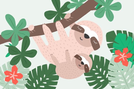 Sloth mother and baby, Costa Rica animal  illustration
