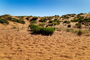 Coral Pink Sand Dunes