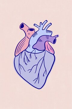Purple anatomical heart minimal illustration 