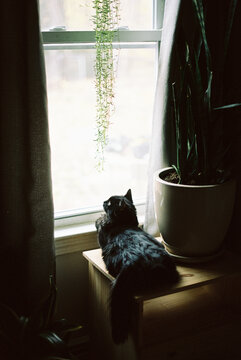 Black car sitting by a window