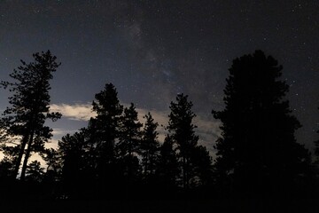 Milky Way over Pike Natl Forest