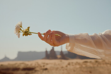 woman's hand holding white flower in the desert with sheer sleeve