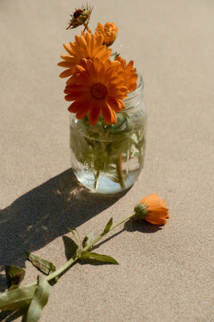 Orange calendula flowers in a glass jar on the sandy beach