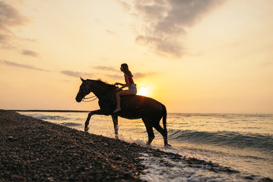 Girl riding a horse on the beach at sunrise
