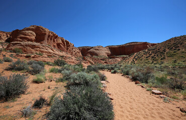 Trail to the slot canyon - Secret Antelope Canyon, Page, Arizona