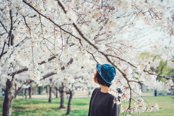 桜を見る女性