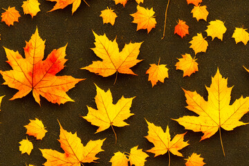Naklejka na ściany i meble Maple leaves on the ground